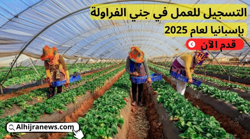 التسجيل للعمل في جني الفراولة بإسبانيا لعام 2025